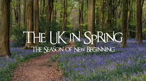 Spring in the UK: Gardens, Blooms, and Mild Weather
